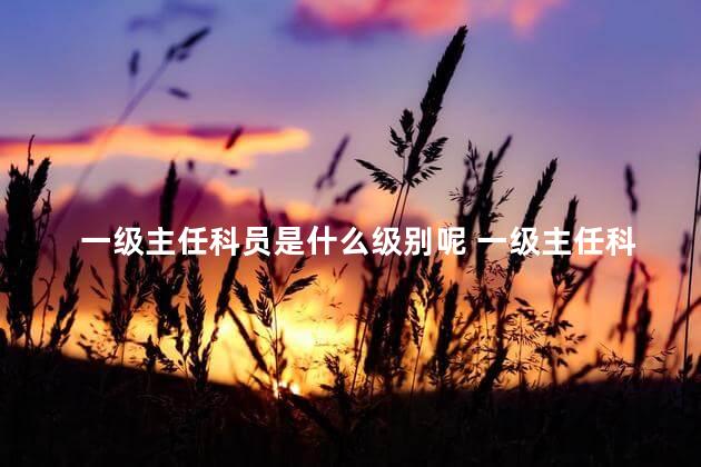 一级主任科员是什么级别呢 一级主任科员是什么职务